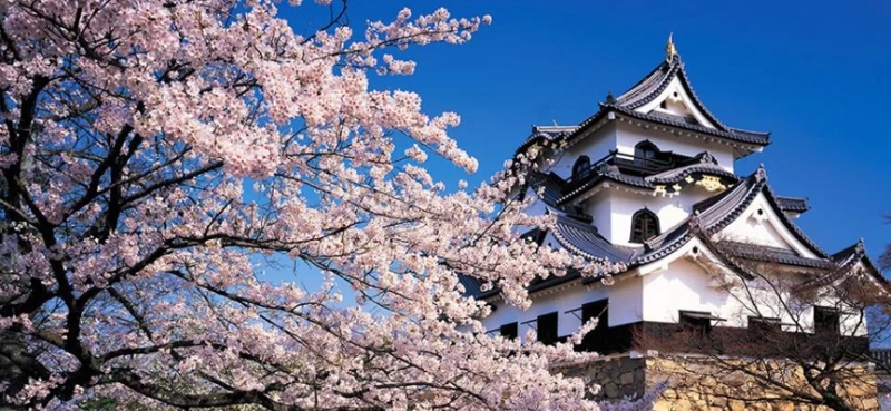 Castles of Japan - visiting the land of samurai, sakura and maples