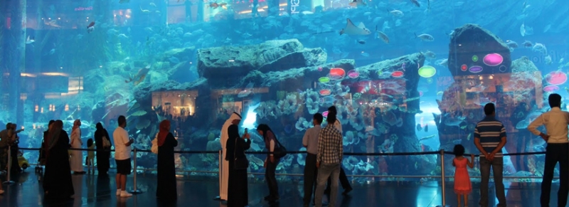 Shopping and entertainment at The Dubai Mall