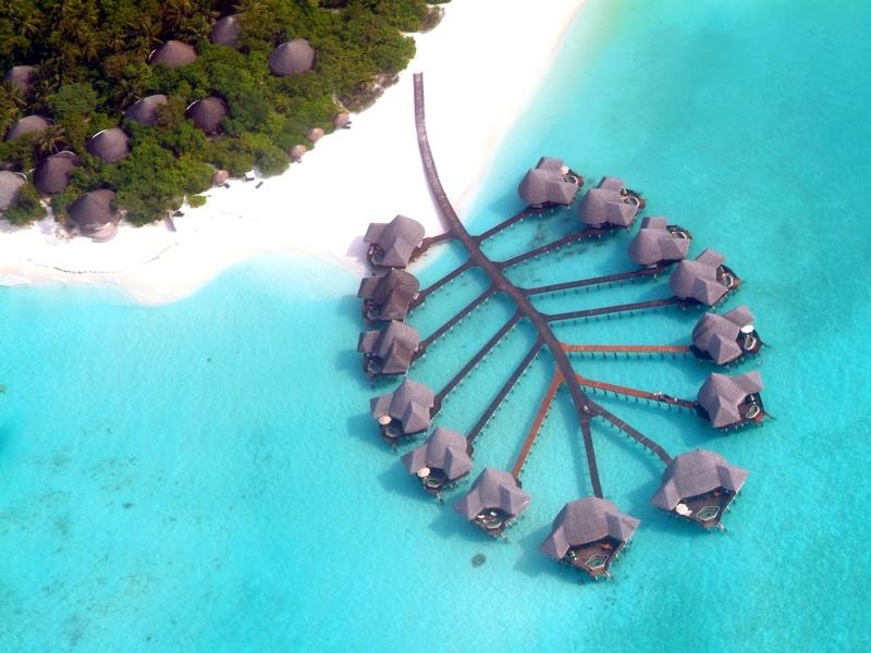 What to do in the Maldives